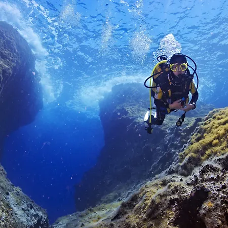 Vivian Апартаменты