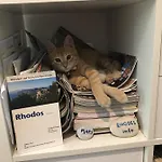Apartmán Vivian