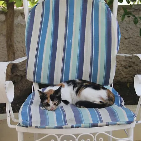 Vivian Appartement *