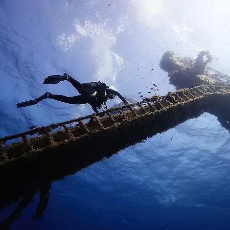 薇薇安一室公寓酒店 公寓