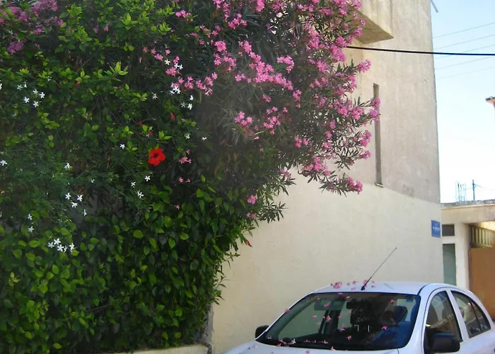 Vivian Daire Ialysos (Rhodes)